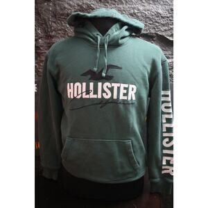 Hollister Green Hoodie size Small Embroidered Logo Sleeve Hit Streetwear